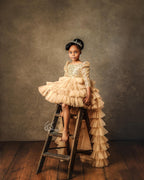 Royal Golden Sequence Baby Dress For Birthday