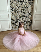 Classy Crush Net Baby Pink Dress